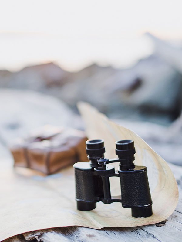 edinburgh-tour-bus edinburgh tour bus